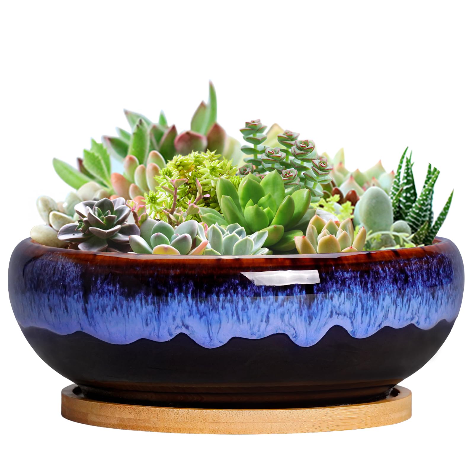 SQOWL 7 Inch Round Ceramic Succulent Planter Pot Drip Glazed Shallow Planter with Drainage Bamboo Tray for Indoor Plants