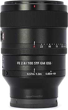 Amazon.co.jp: SONY(ソニー) 望遠単焦点レンズ フルサイズ FE 100mm F2