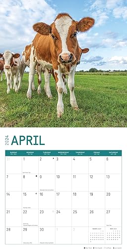 Miniatura 4 de Bright Day - Calendario mensual de pared 2024 de animales bebés, 12 x 12 pulgadas