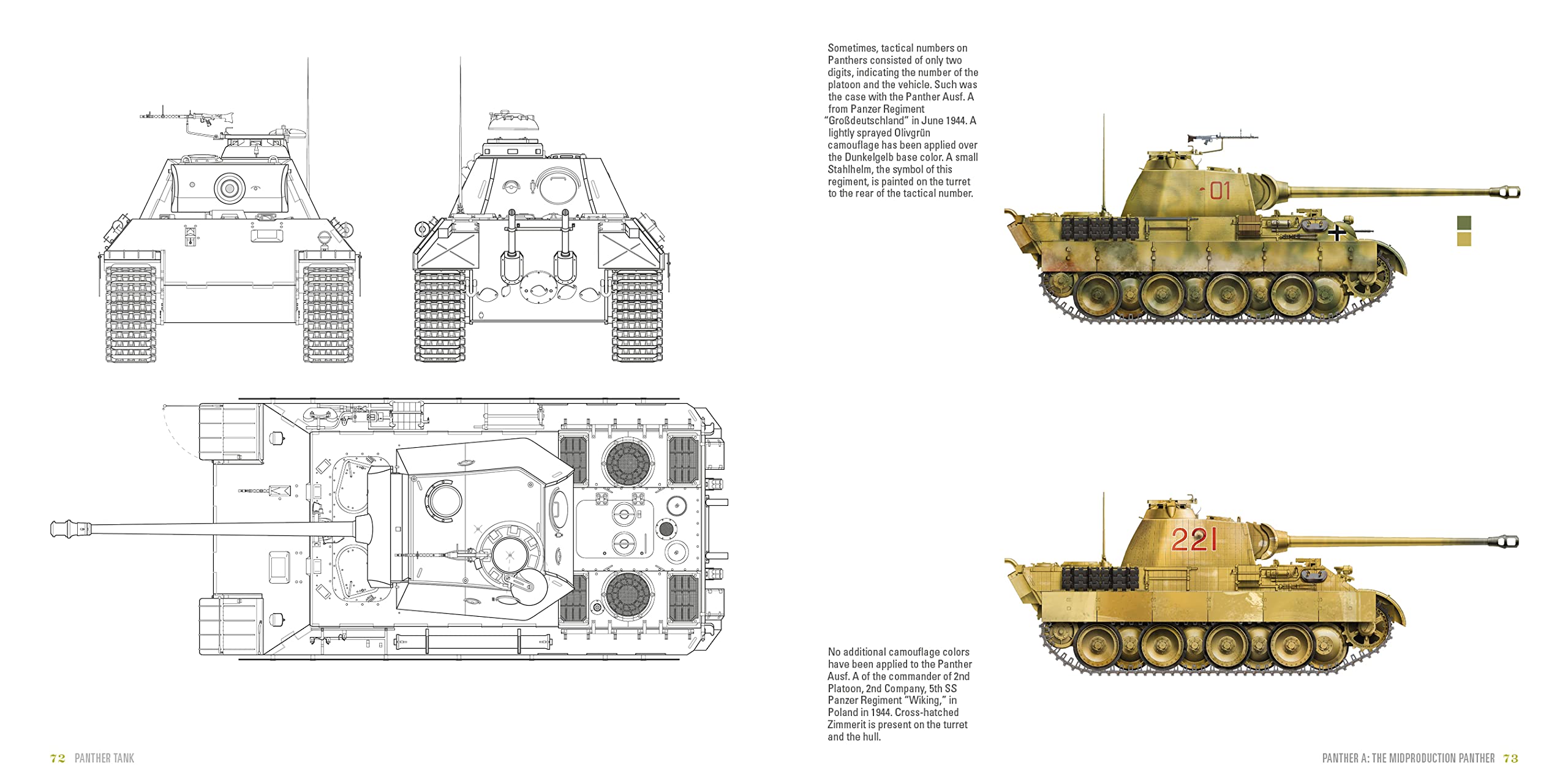 Panther Tank: The Panzerkampfwagen V in World War II