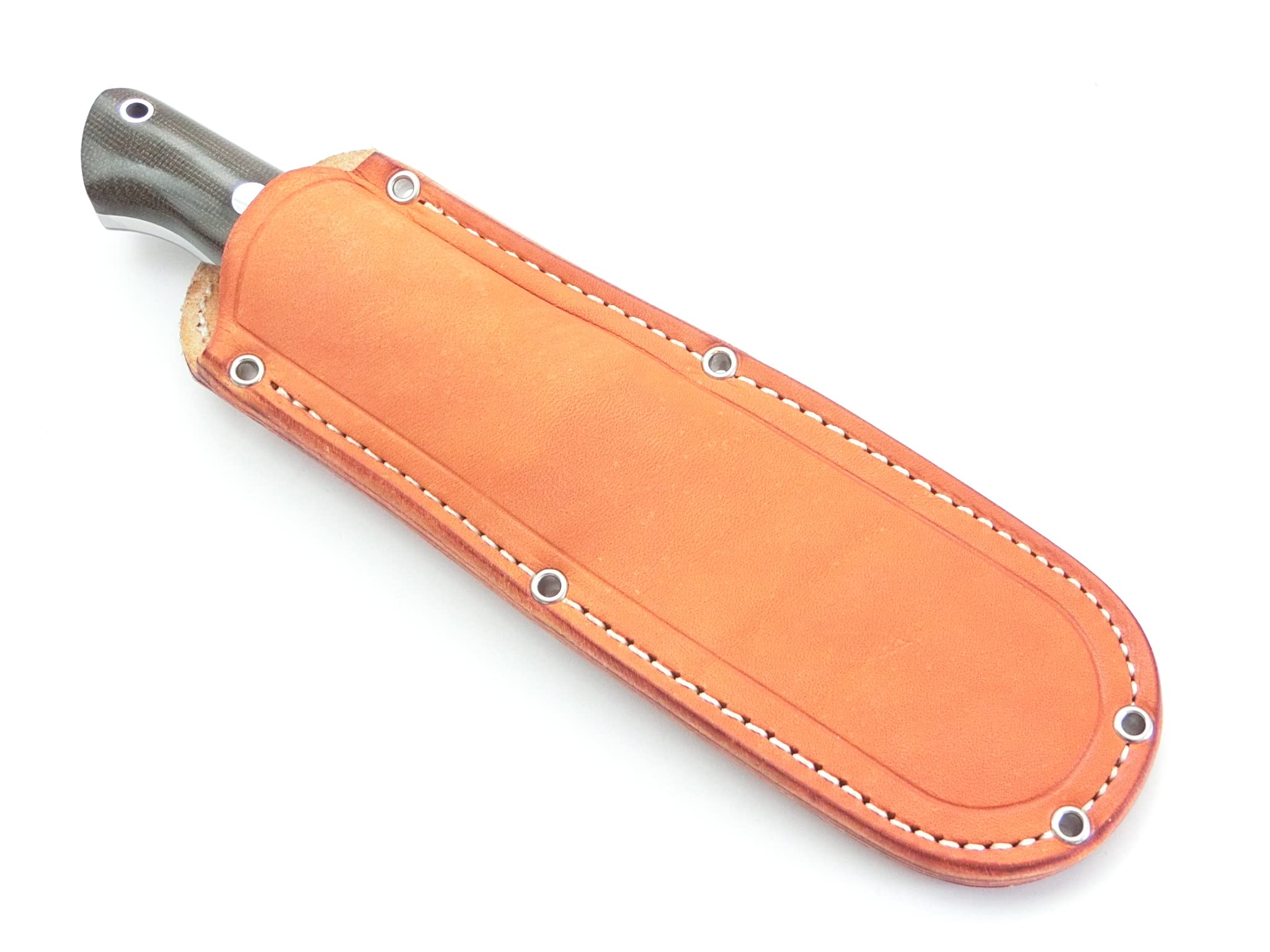 Amazon.co.jp: BarkRiver バークリバー ブラボー1.25 3V グリーン 