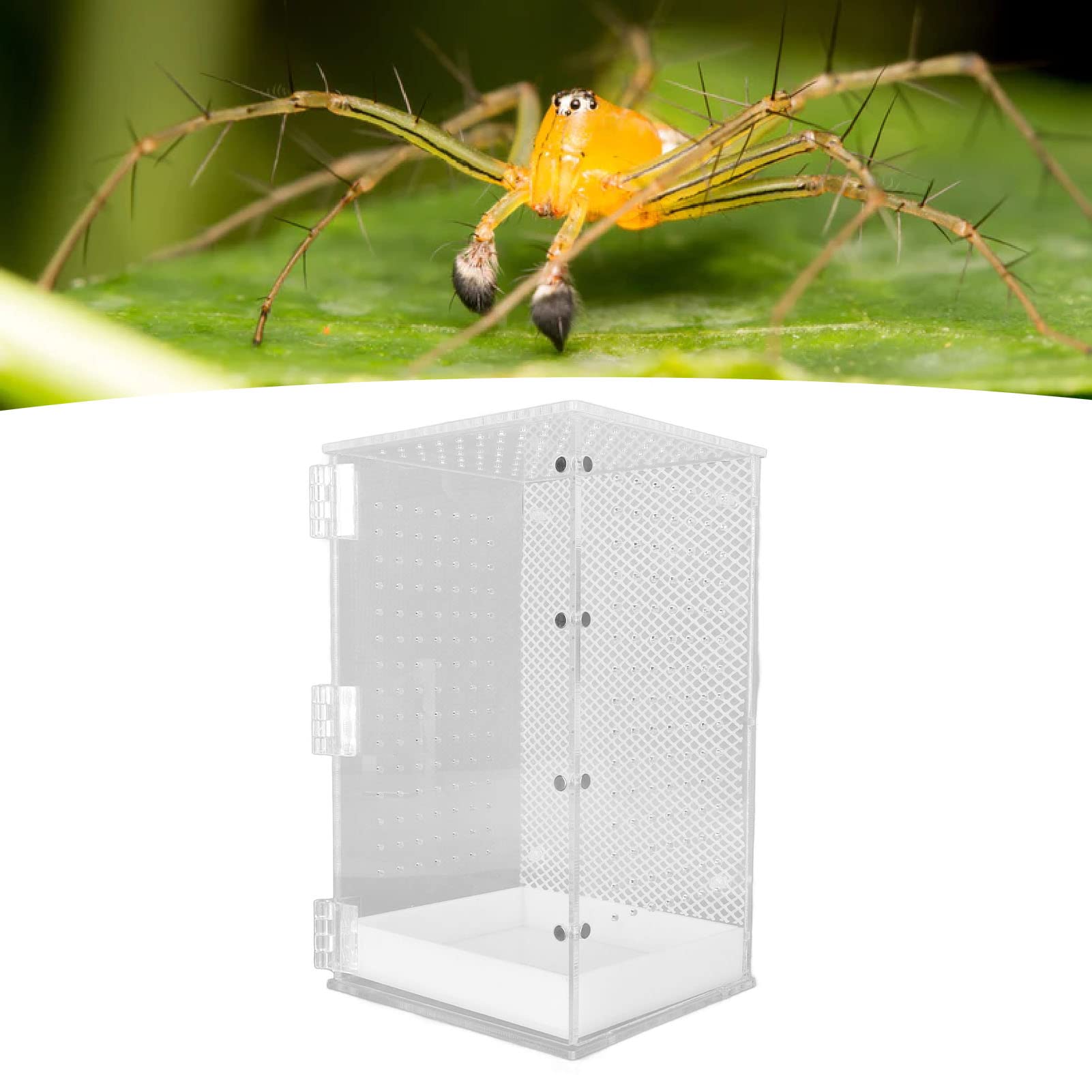 Acryl Reptilien Terrarium Tank Transparente Insekten Futterbox Amphibien Aufzuchtbox für Tarantel Einsiedlerkrebs Leguan Schildkröte Leopardgecko Bartagame