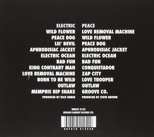 Miniatura 2 de Electric Peace