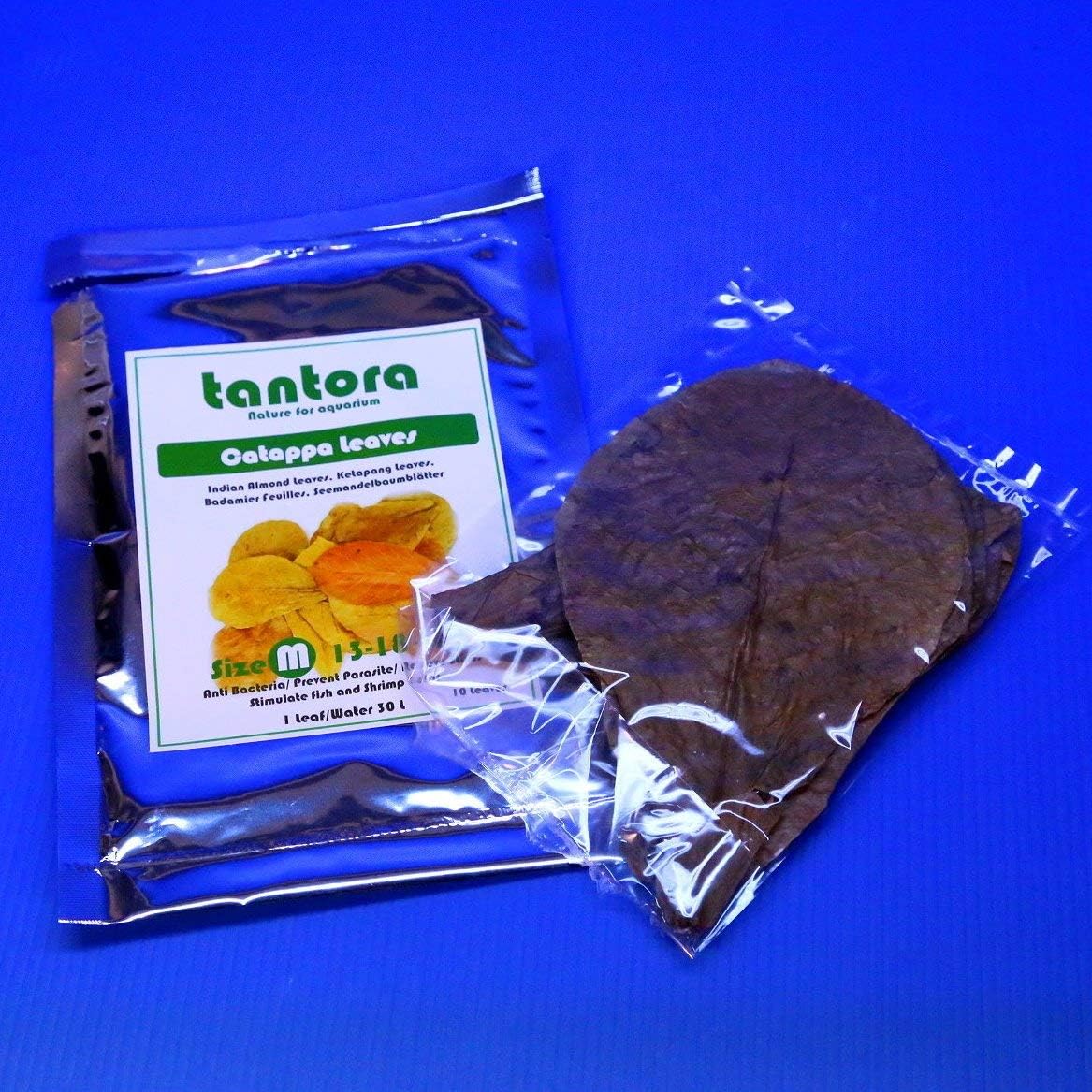 CORISRX BEST OF YOUR LIFESTYLE Tantora Catappa Leaves 4~7" 10 Pcs. Aquarium Indian Almond Leaf for Betta and Shrimp Fish Tank,. Excellent Water Conditioner Leaves for Breeding & Health