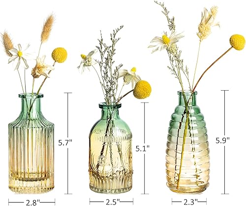 Miniatura 6 de Joeyan Juego de 3 jarrones pequeños de cristal en relieve, color verde y ámbar, para flores individuales y flores secas