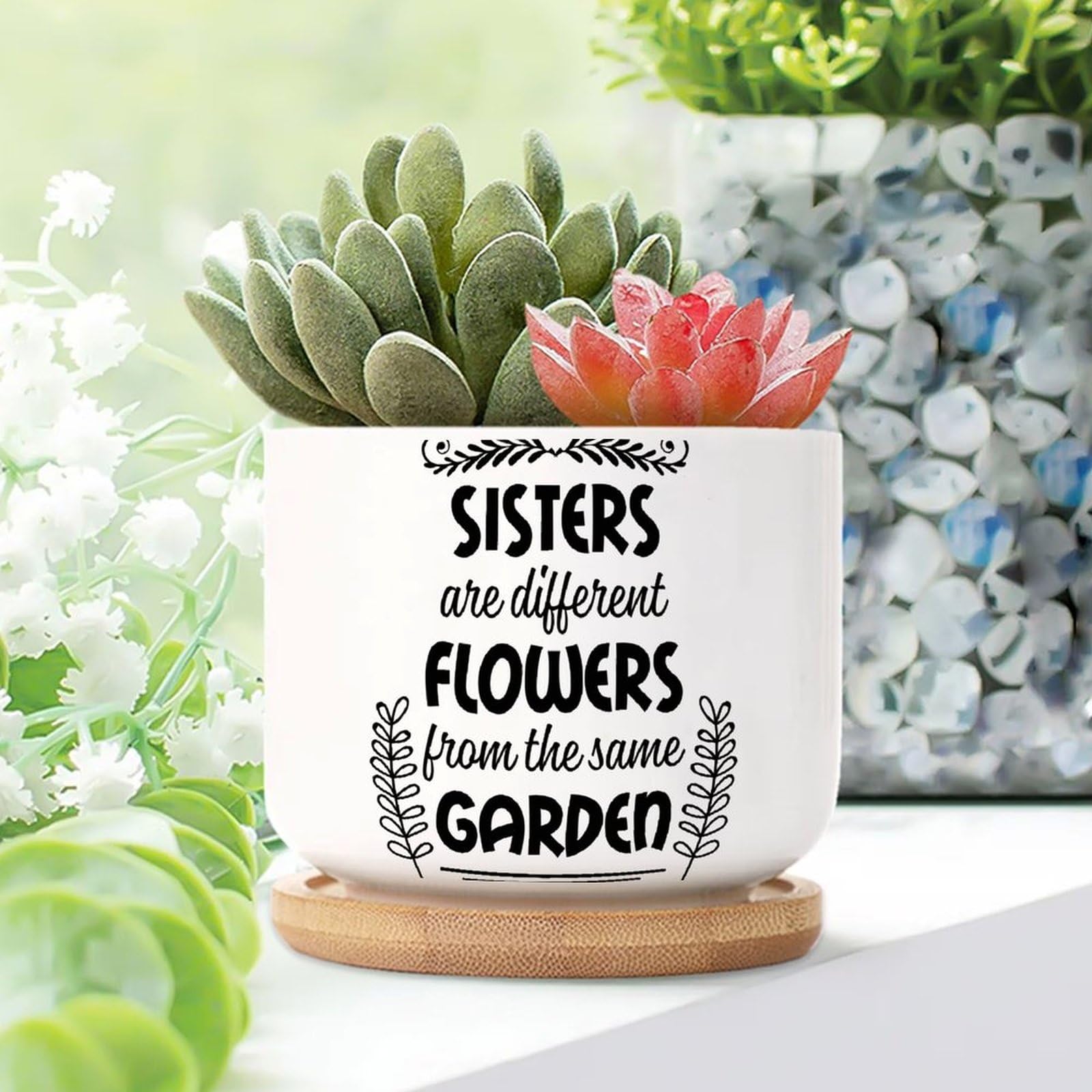 Yelolyio Sisters Are Different Flowers from The Same Garden Ceramic Planters Bible Scripture Snake Plant Live Indoor with Pot With Drainage Holes And Saucers Pot For Pots Outdoor Indoor Plants