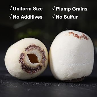 SXETBEAN Dried Lotus Seed, 10.58oz/300g Dried White Lotus seeds, Perfect for Porridge, Soup, Paste,
