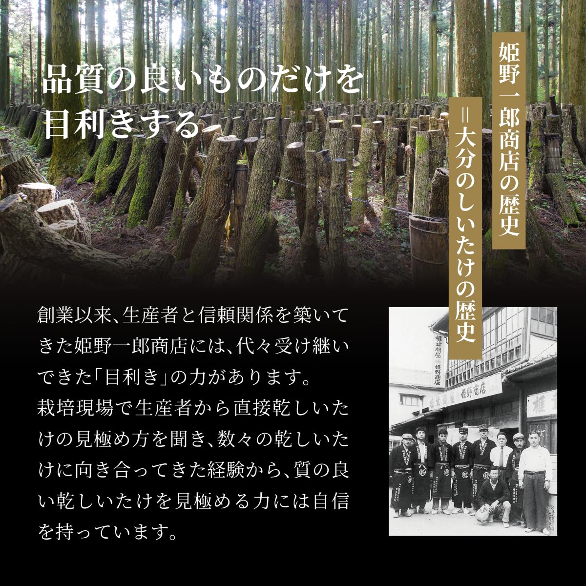 Amazon.co.jp: 姫野一郎商店 大容量 大葉椎茸 400g バレ 干し椎茸 国産