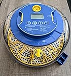 Review Image by TT TT