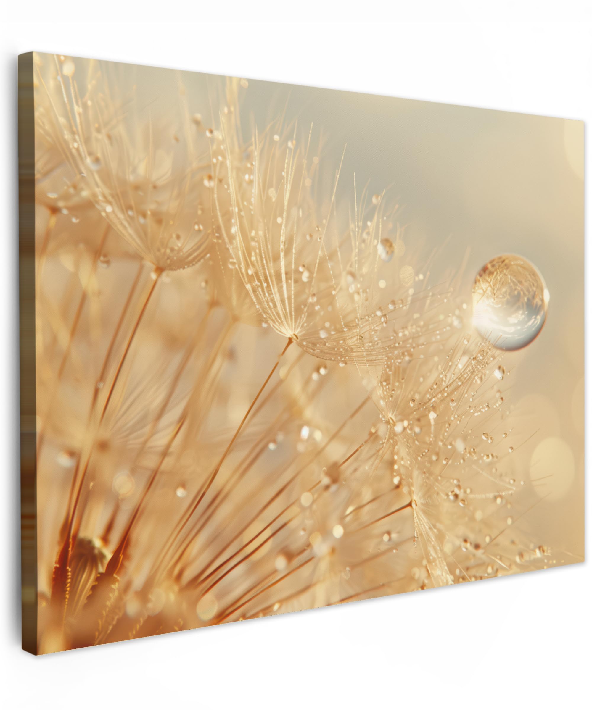 MuchoWow© Cuadros Decoracion Salon Modernos 40x30 cm para Dormitorios Cuadro Decorativos de Salon Lienzos Decorativo Pared Decoracion Dormitorio Matrimonio Diente de León - Agua - Plantas - Moderno