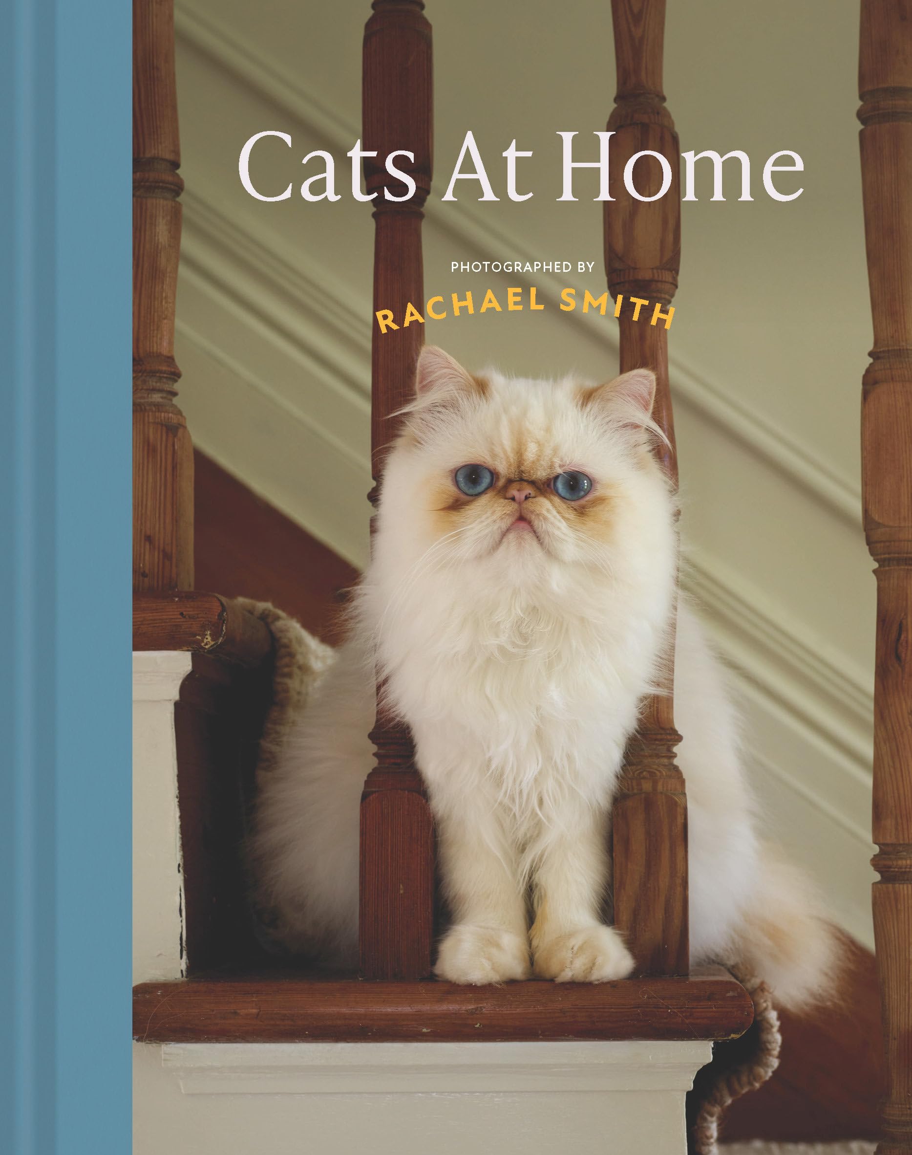Cats at Home: 50 fabulous felines and the houses they live in