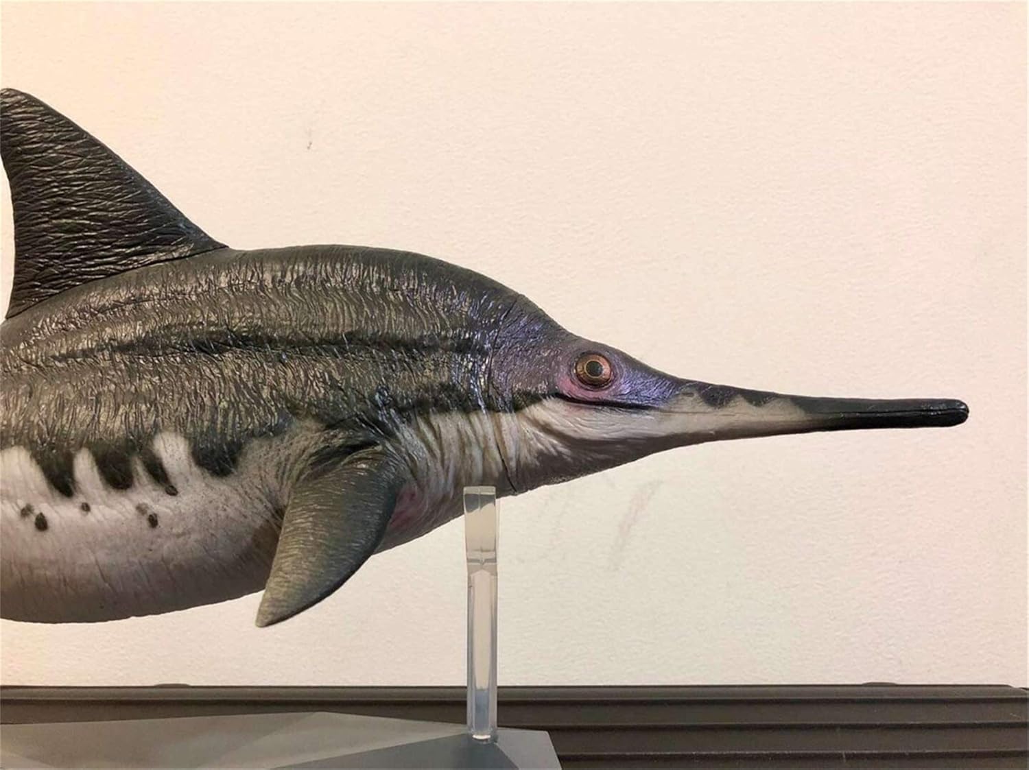 Ophthalmosaurus icenicus Figure Ichthyosaur Realistic Ichthyosauridae Dinosaur Model Decoration Gift