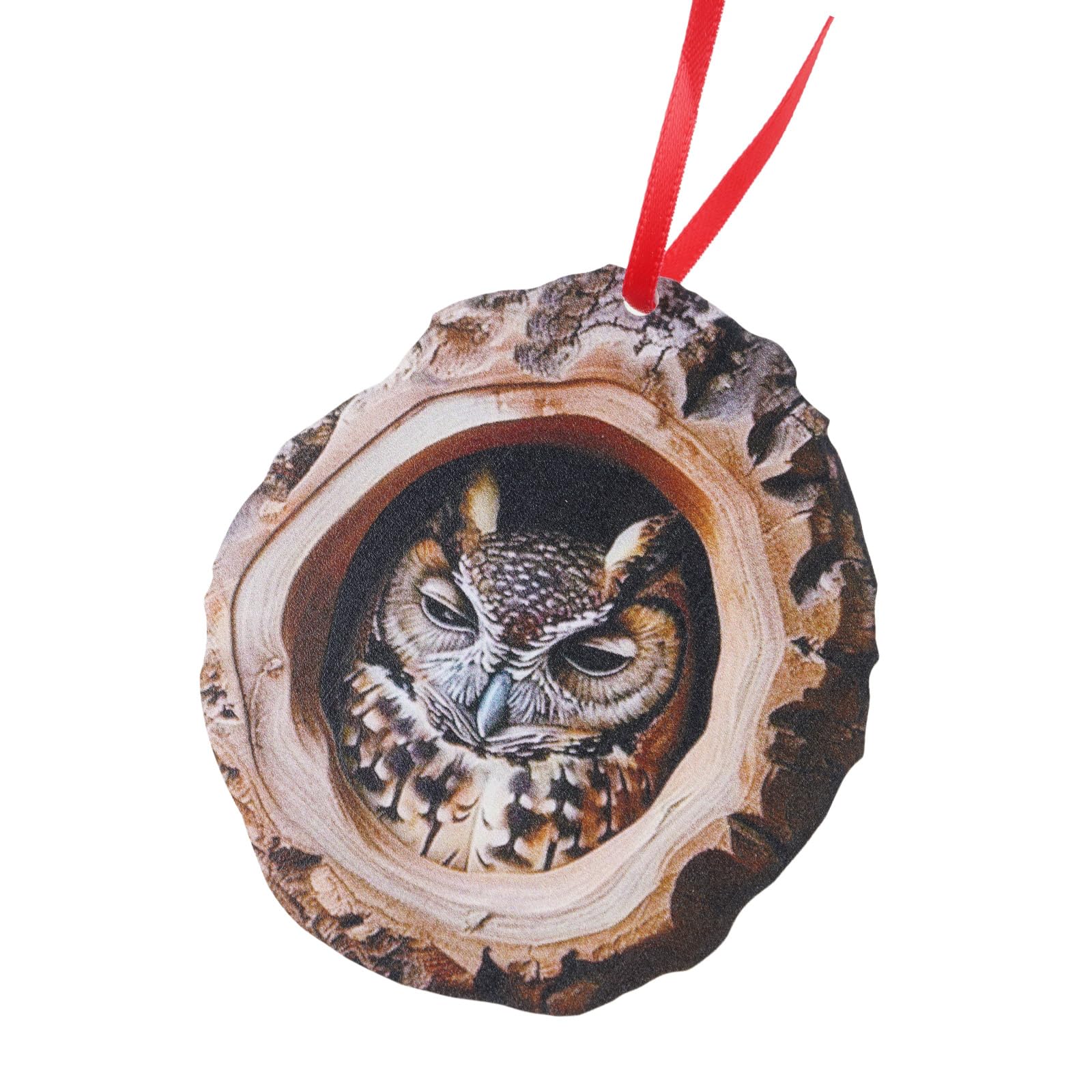 Tfaoys Owl Aa Christmas Tree Ornament 2D Acrylics Christmas Pendant For Tree Door Handle Hallway Winter Holiday Decoration Holiday Ornament
