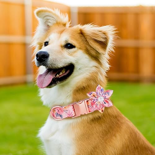 Miniatura 2 de TDTOK - Collar de perro femenino con flor desmontable, hebilla de seguridad de metal, collar floral de algodón suave y cómodo para perros pequeños,