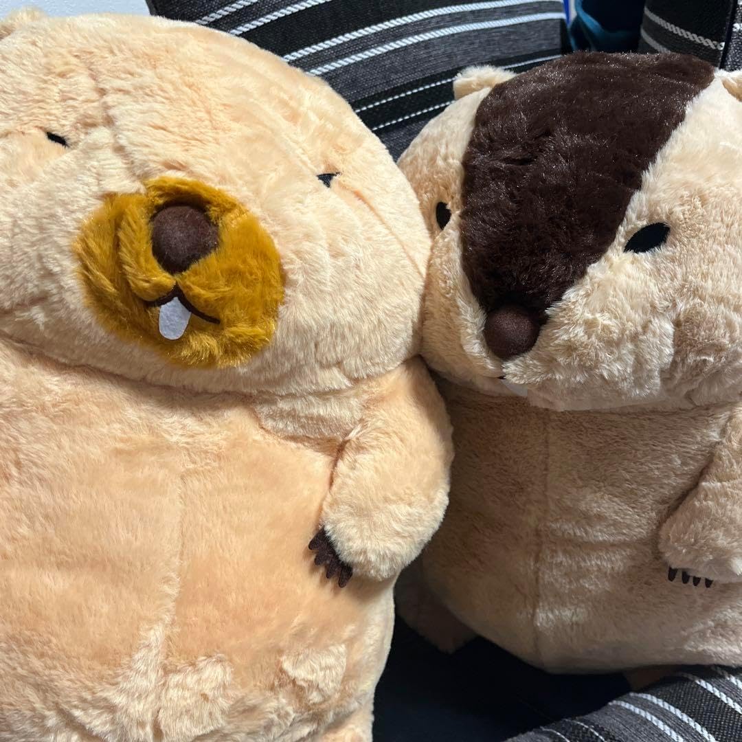 sekonao なつかない猫 ぬいぐるみ　猫　やんのかステップ　せこなお 突然の告知】 「なつかない猫」がマスコットになってガチャガチャで