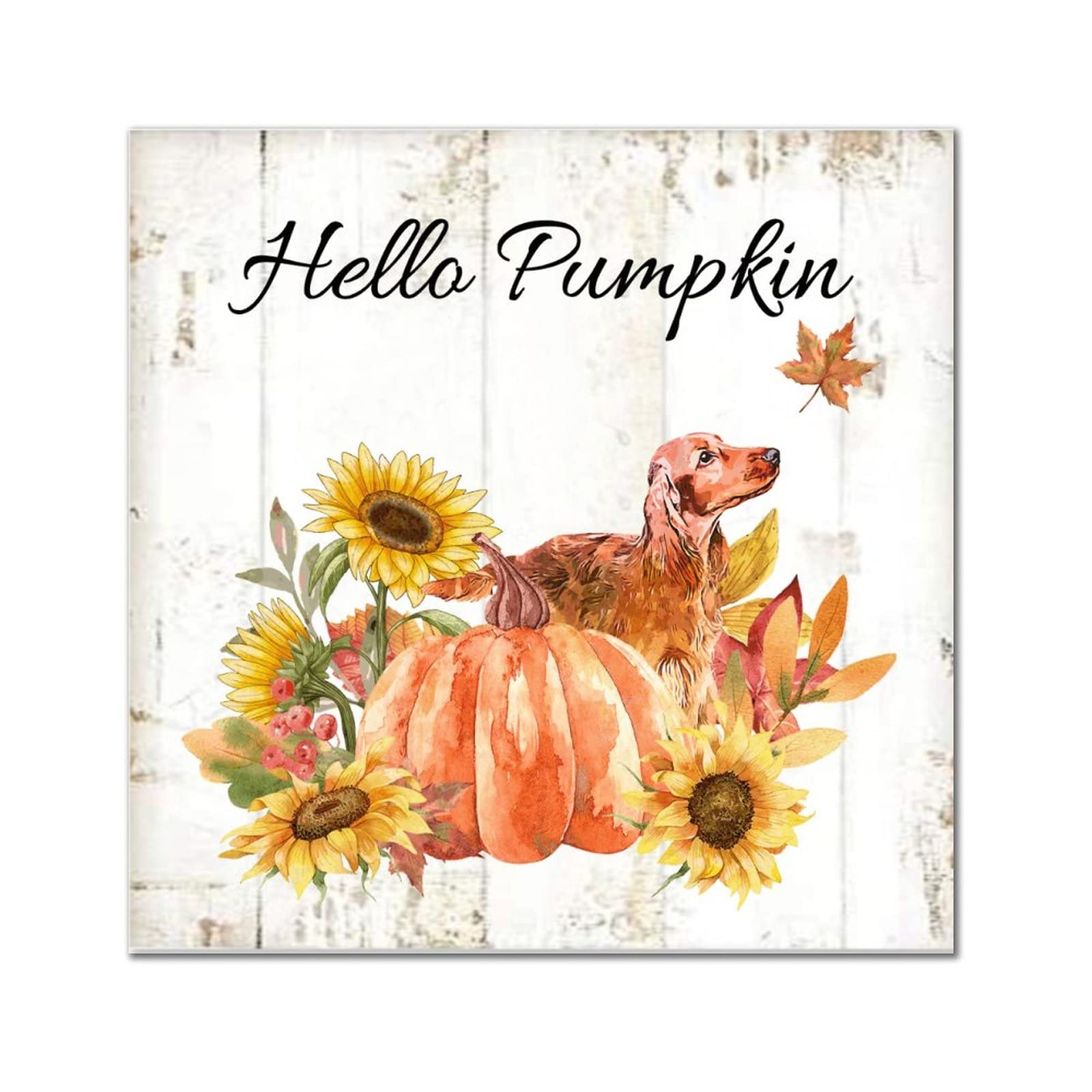 Placa de madera Beagle Hello Pumpkin para decoración de pared de otoño en entrada