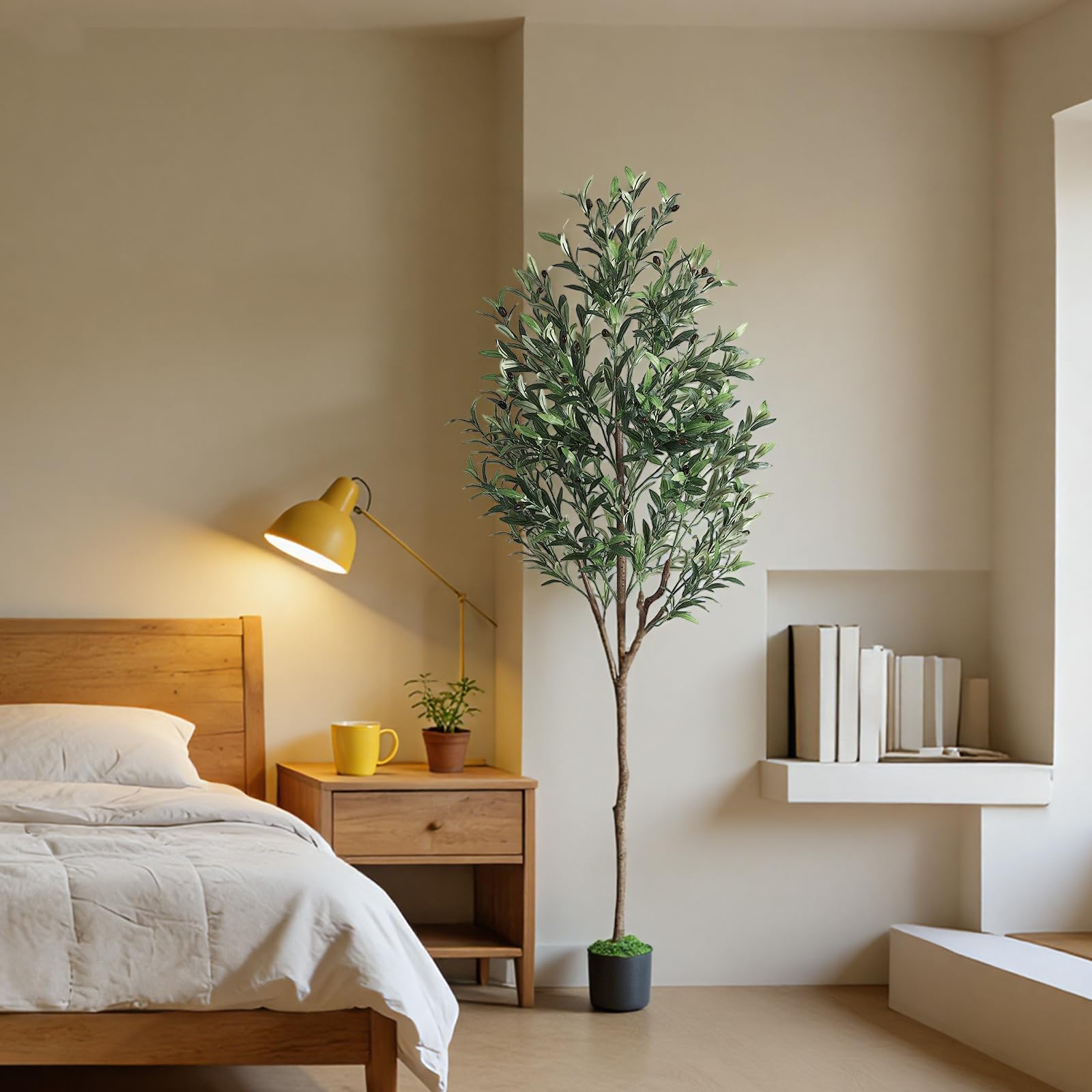 Alupssuc Olive Tree 6FT