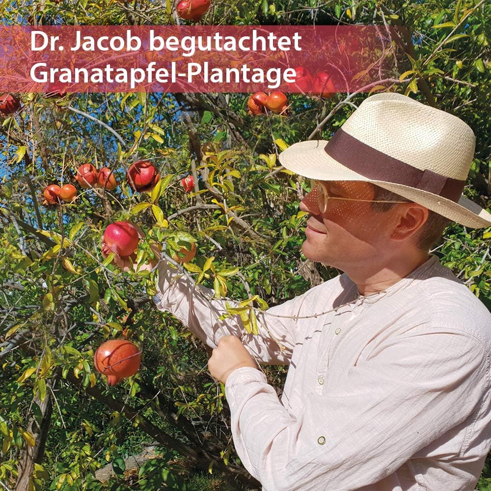 Dr. Jacob's Granatapfel-Elixier | das Original | hochkonzentriert | 500 ml | Hochkonzentriert an Polyphenolen: 720 mg pro Portion | hohe Bioaktivität durch Lebendfermentation | fruchtig-herber Geschmack
