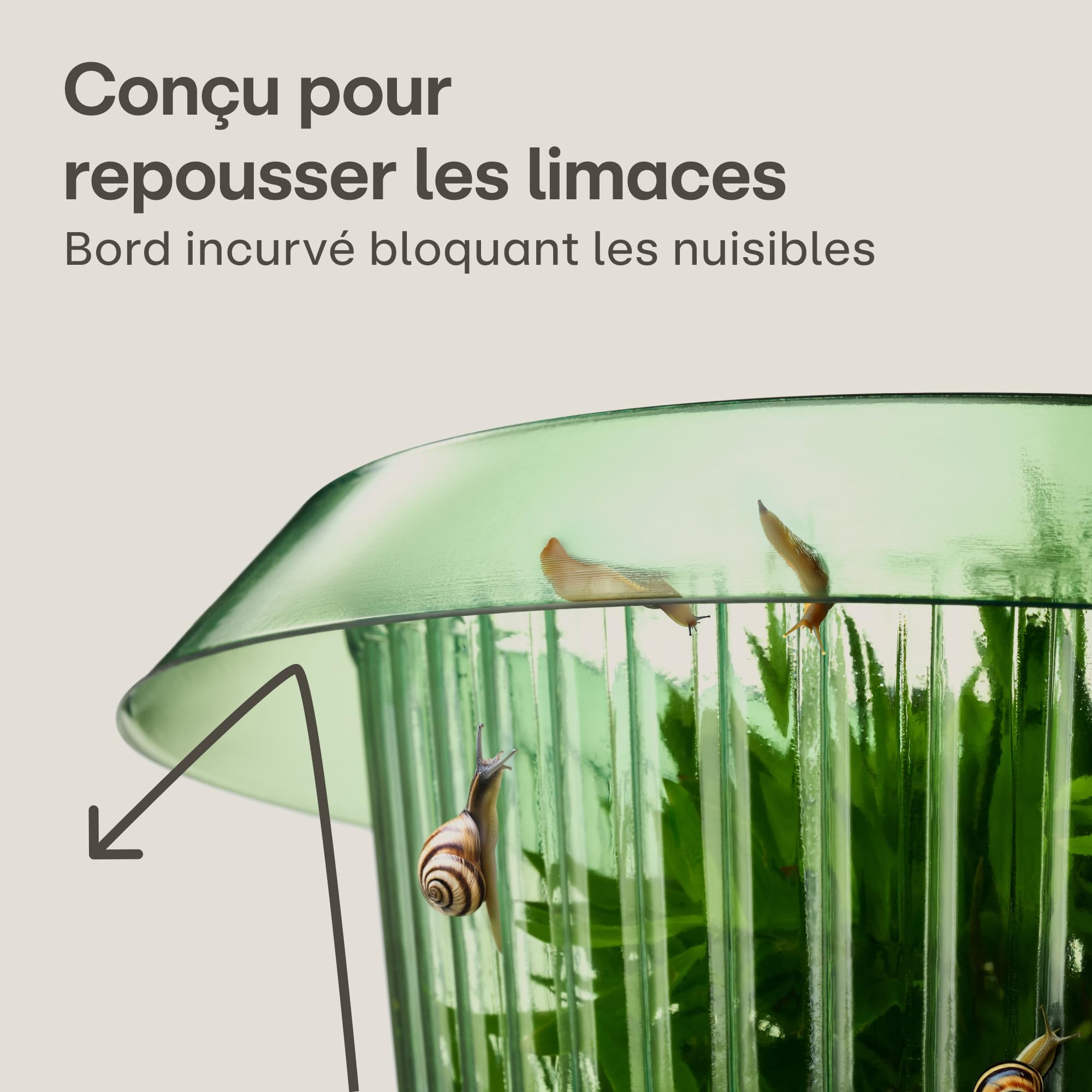 Praknu Collet Anti Limaces 10 pièces Barrière Réutilisable Résistant Aux Intempéries pour Laitues Légumes Fleurs