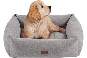 Martha Stewart Charlie Modern Dog Lounge Sofa for Small Pets