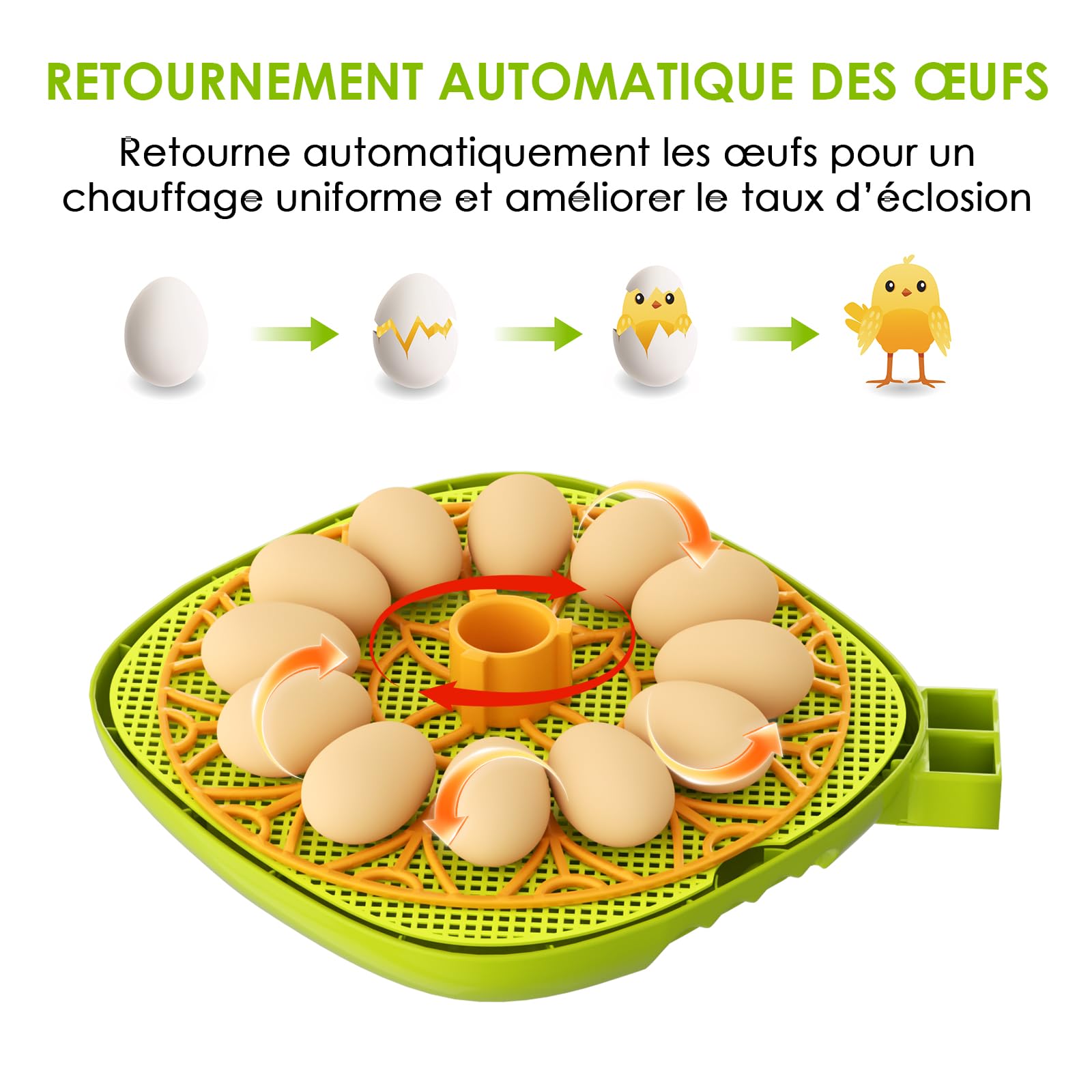 Couveuse Oeuf Automatique, Couveuse 12 Oeufs Retournement Automatique des Œufs, Contrôle de la Température et de l’Humidité Convient à l’Incubation des Œufs de Poule, Canard, Oie, Caille