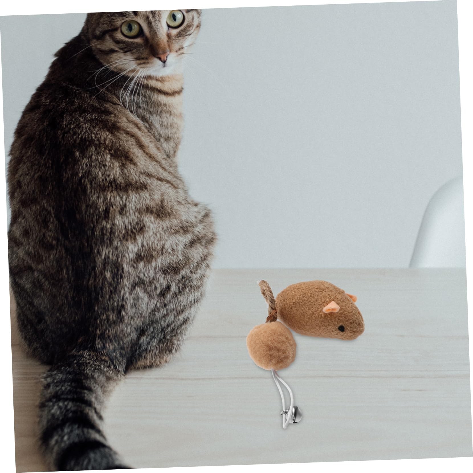 6pièces Souris pour Chats Lot de Jouets Colorés avec Clochettes Accessoires Amusants pour Chats Intérieur pour Éveiller Instinct De Chasse