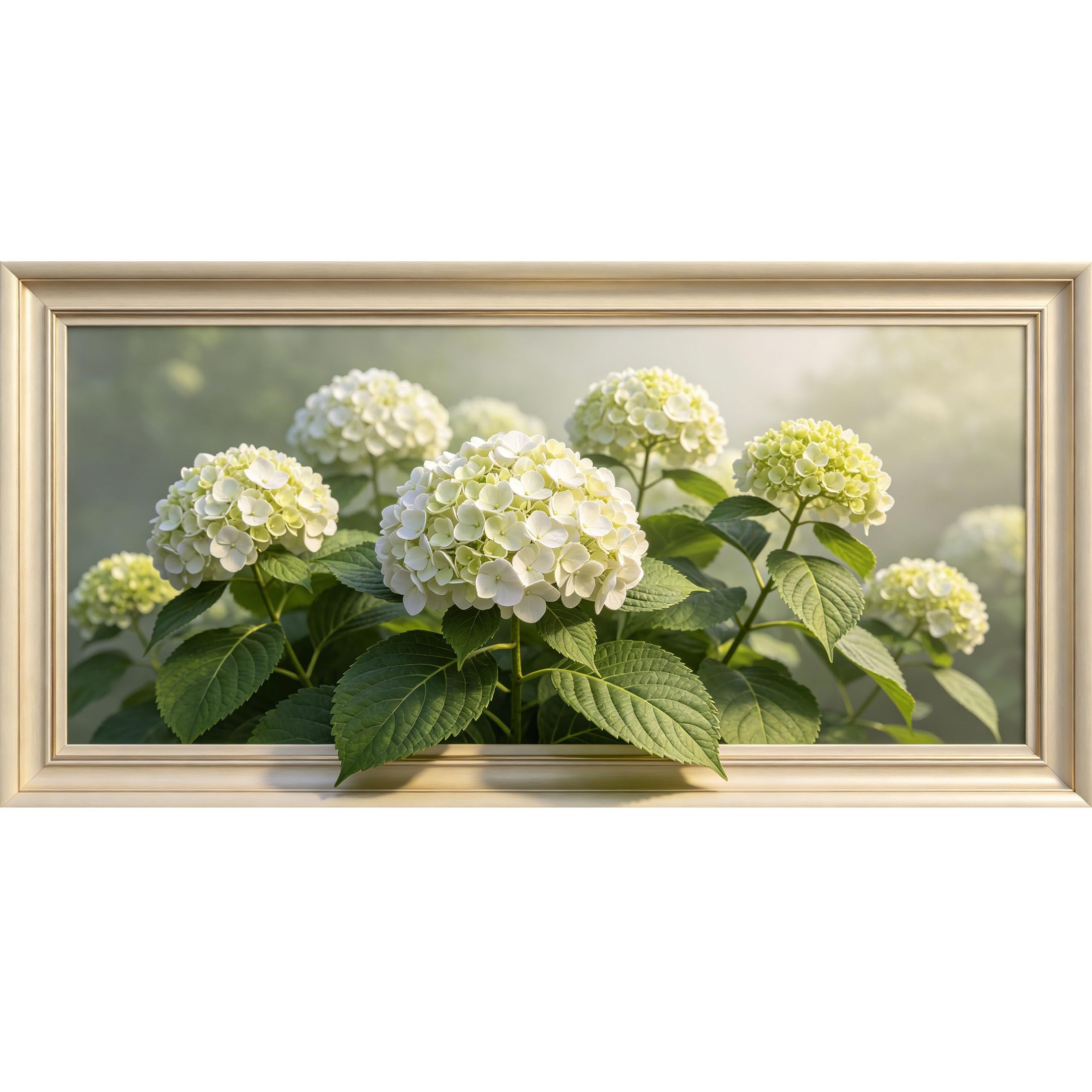 Agglomerix 3D Framed Wall Art White Hydrangea Floral Botanical Relief Effect Large Size SelfAdhesive Removable Wall Decor Prints Artwork for Living Room Bedroom Office