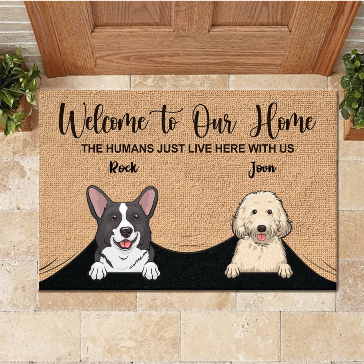 Felpudo De Border Collie, Divertido Felpudo De Bienvenida, Regalo Para Amantes De Las Mascotas - España