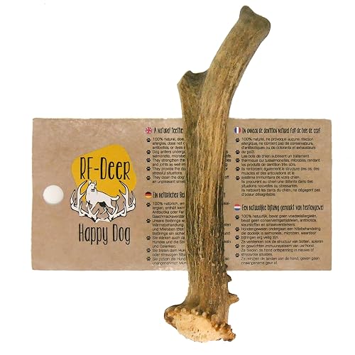 RF-Deer Asta de corzo Natural para Perros, Snack, S Hard, 1 Pieza