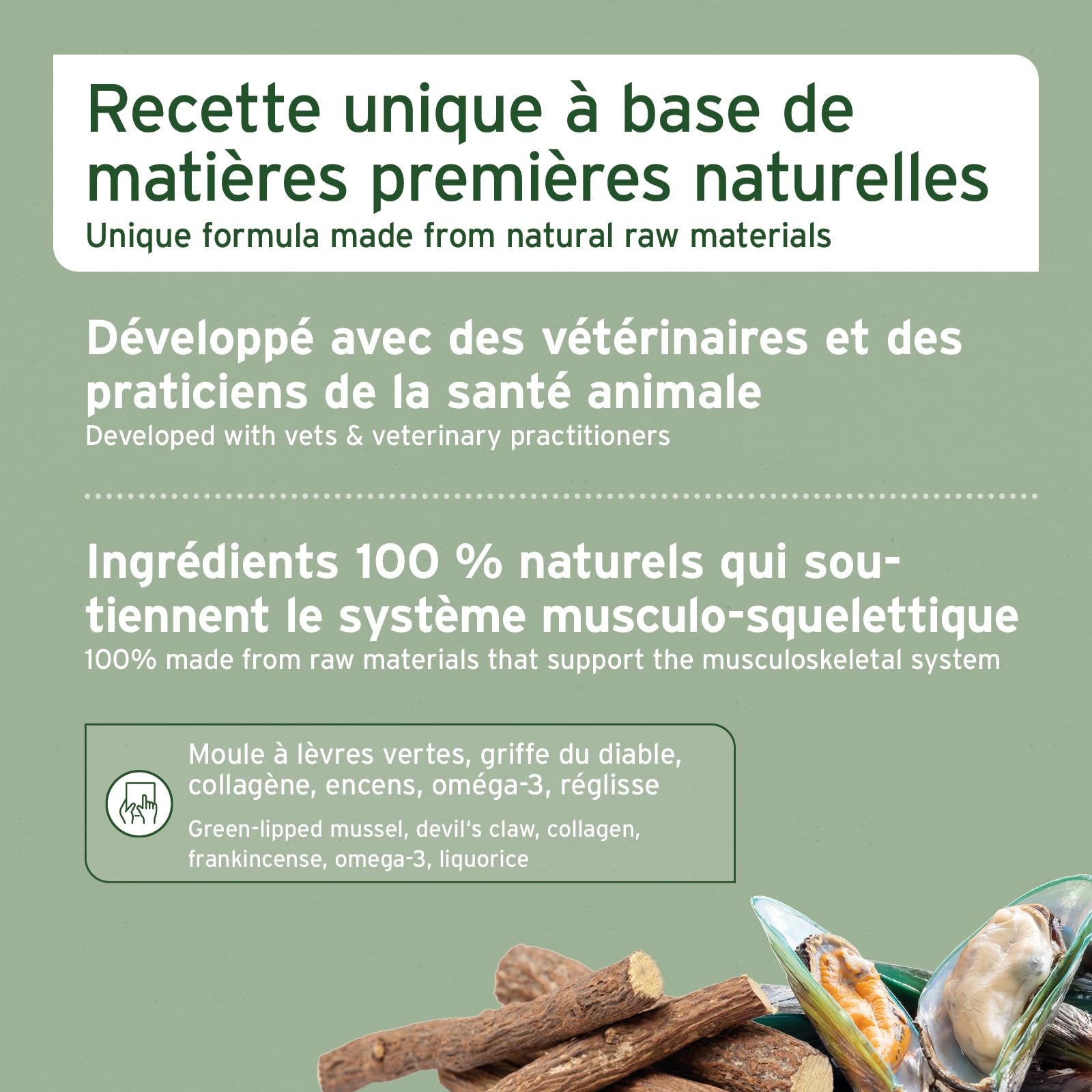 AniForte Comprimés Articulations 300 pcs pour Chiens – Moules aux Orles Verts, Oméga-3, Collagène et Griffe du Diable – Soutien Articulations & Tendons