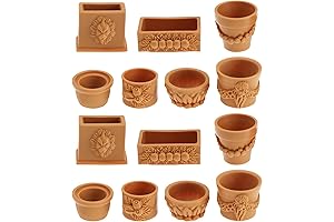 SING F LTD Miniature Plant Terracotta Pots