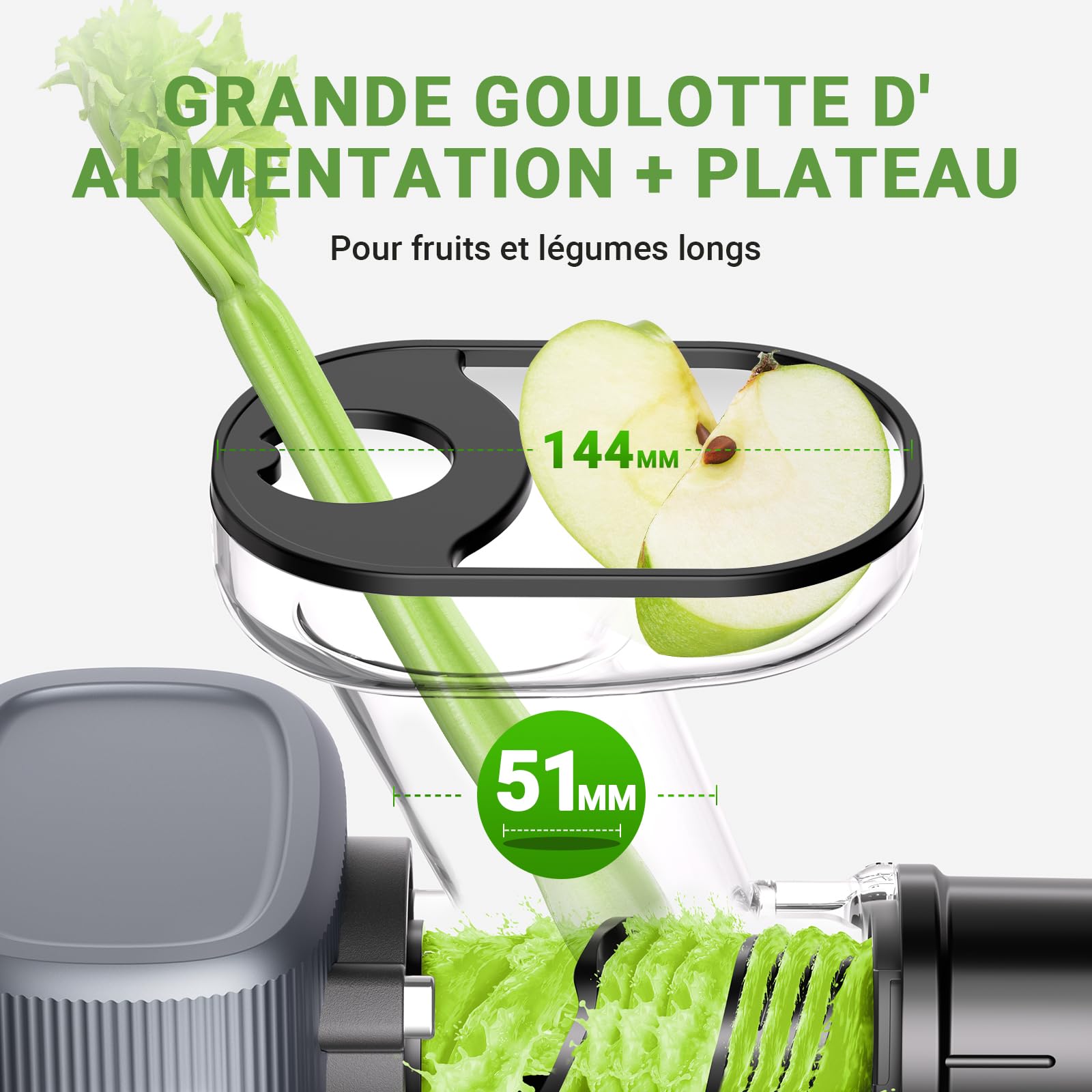 AMZCHEF Extracteur De Jus Compact Silencieux Avec Mastication Inversée - Gris