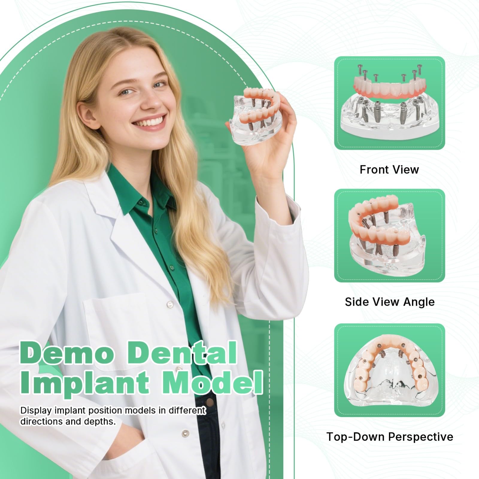 Modelo de implante dental de doble arco. Sistema de entrenamiento de sobredentadura All-On-6 y All-On-4. Bases transparentes para maxilar y mandíbula