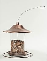 Vista 7 de Wagner's 53002 Farmer's Delight - Alimento para pájaros silvestres con sabor a cereza, bolsa de 10 libras