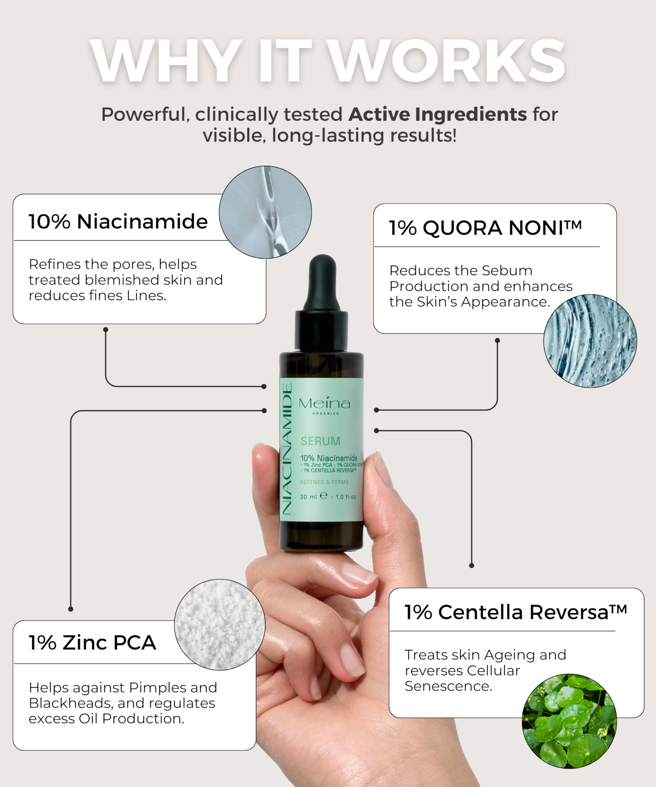 Meina 10% Niacinamide Serum with Zinc PCA, Centella Asiatica (CICA), Organic Aloe Vera Base, Skincare against Blemishes - Image 3
