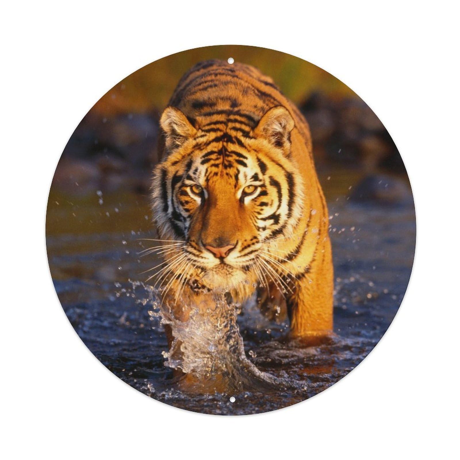 Tiger Wildlife Predator Big Cat River Classic Metal Tin Sign