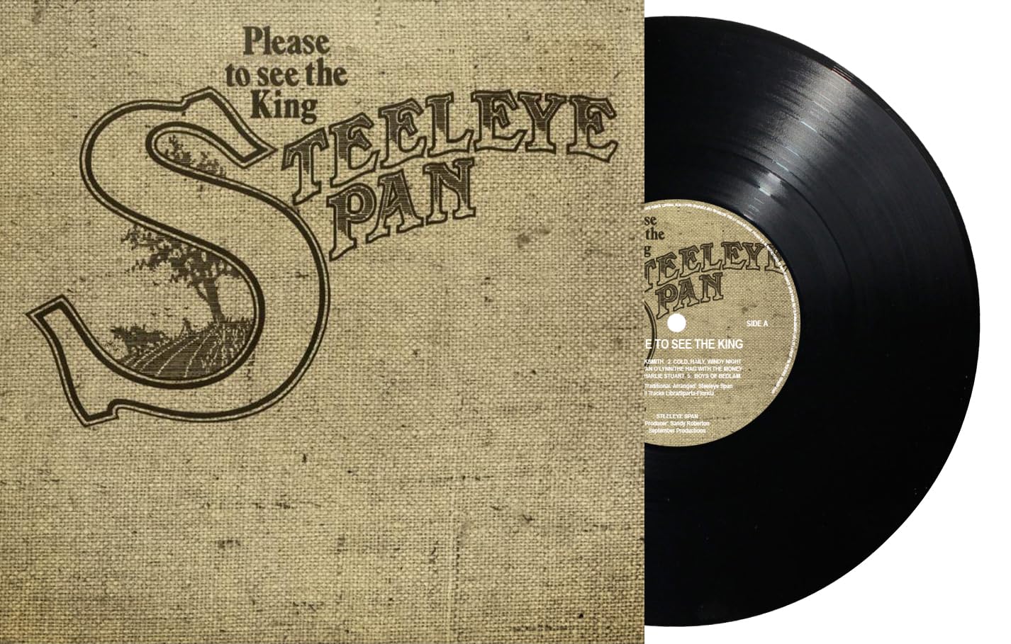 Please To See The King [VINYL]