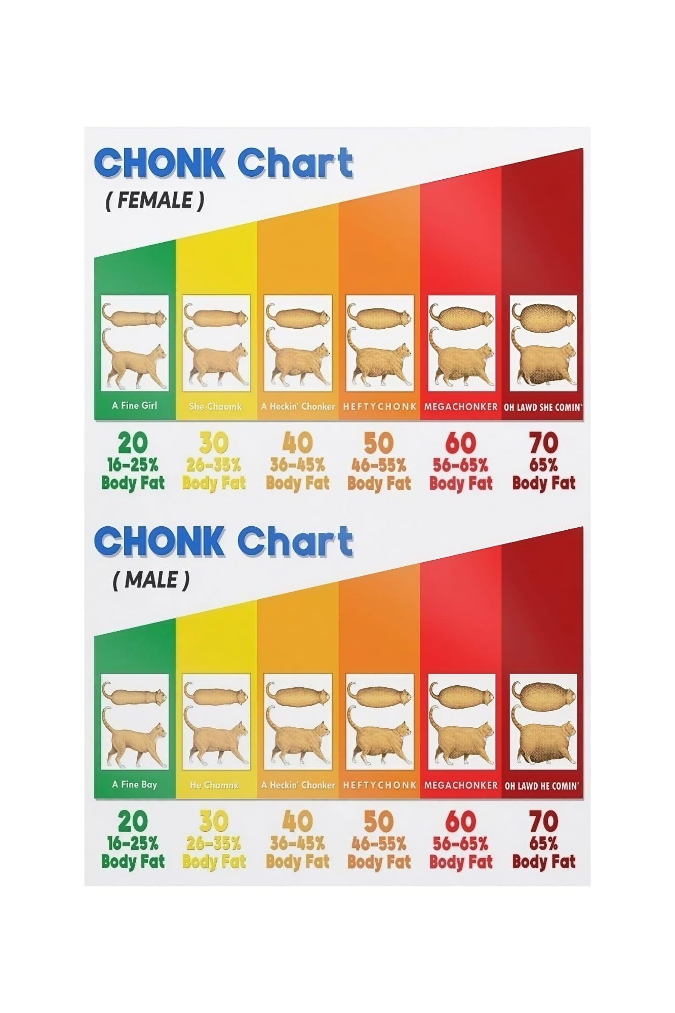 PKNVKZIDK Educational Funny Cat Poster Chonk Chart Body Condition Guide Wall-Art for Cat Parents Vet Clinic Waiting Room Home Decor Unframed,12x18inch(30x45cm)