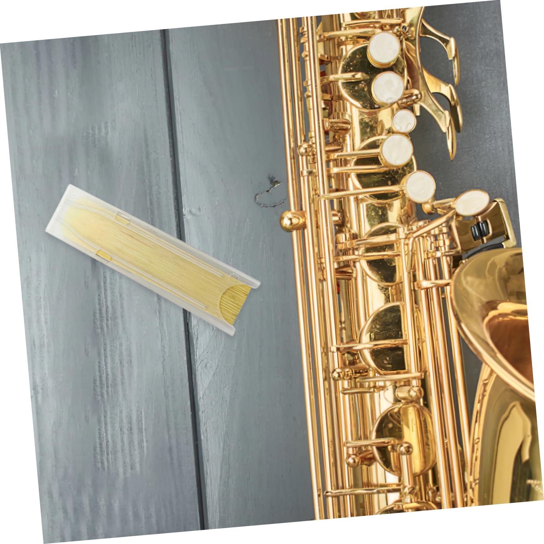 BESTonZON Storage Holder 4 Pack Sturdy Abs Plastic Compact Size for Easy Storage and Carry