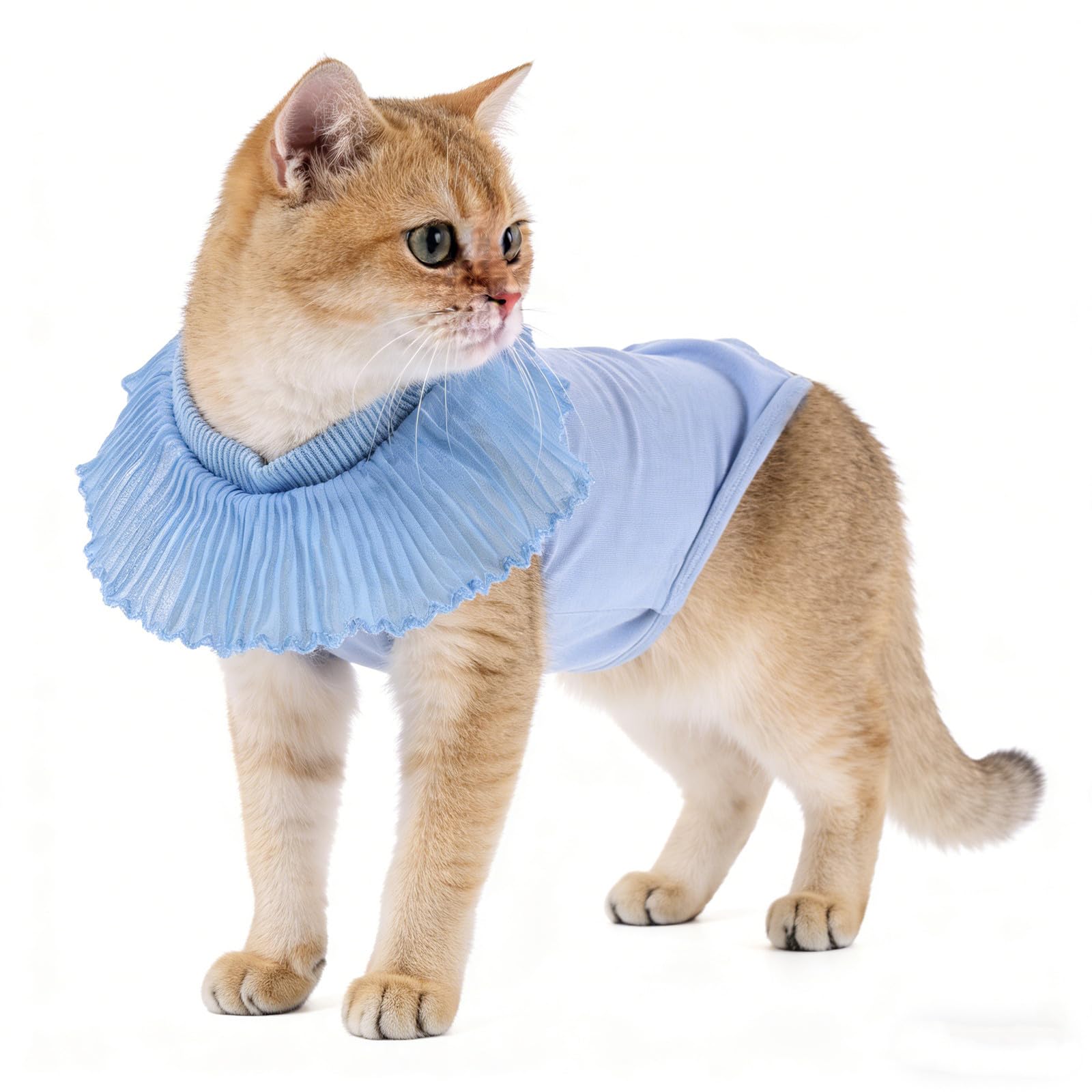 LEPSJGC ペット猫回復スーツ Lサイズ Amazon | Levemolo 猫用手術後スーツ：猫用去勢手術回復スーツ - 子猫