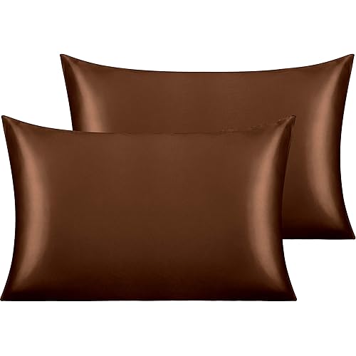 NTBAY 2 Pack Satin Standard Pillowcases for Hair and Skin, Luxurious and Silky Pillow Cases with Envelope Closure, 20x26 Inches, Brown