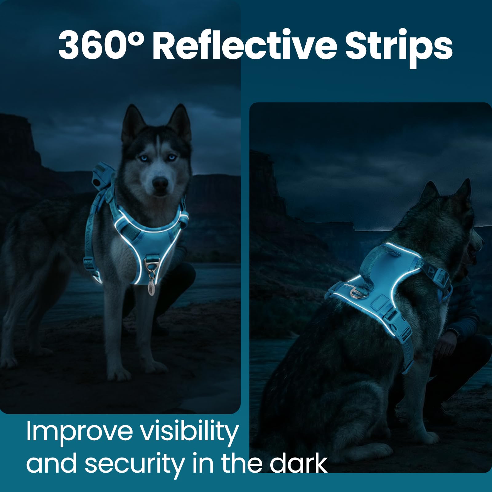 Reflektierendes Hundegeschirr mit Griff
