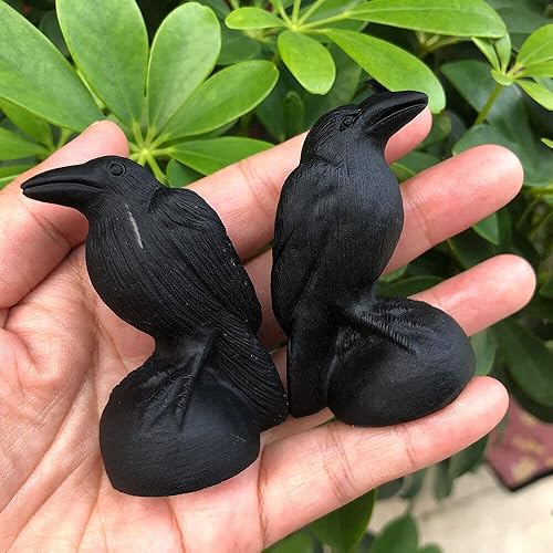 Miniatura 4 de TEAMWILL 1 figura de calavera de cuervo de obsidiana negra natural, cuarzo, tallada con cristal curativo, 2.76 pulgadas