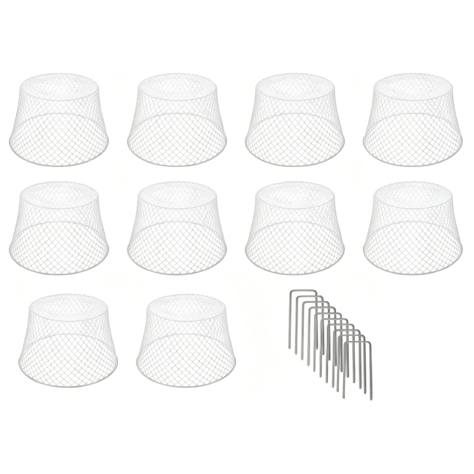 Abri en fer pour plantes avec grilles ouvertes anti-animaux
