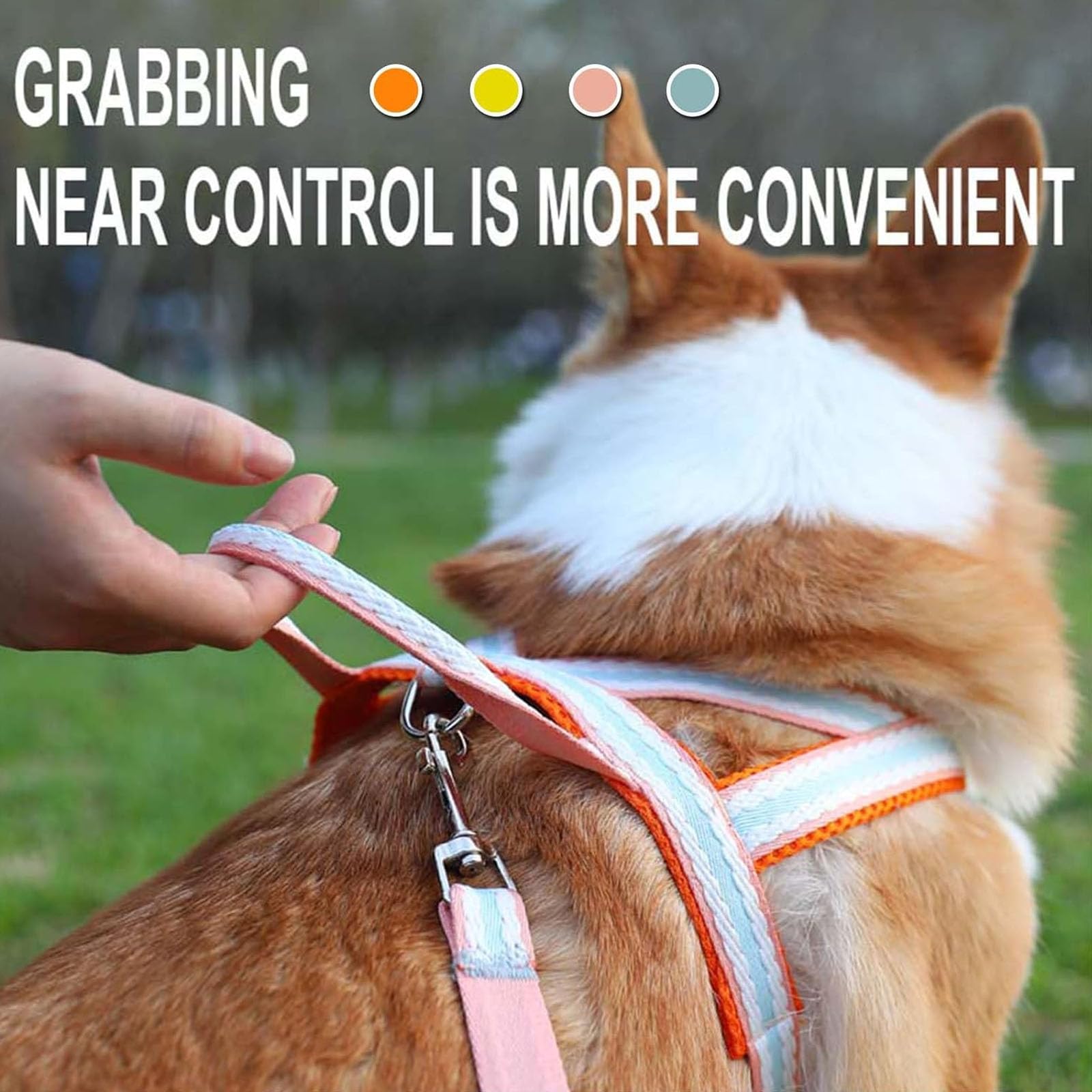 Chaleco Ajustable Para Cachorros, Arnés Reflectante Con Anilla En D Para Correa, Arnés Acolchado De Malla Transpirable Para Perros Pequeños Y Medianos, Correa Para Pasear Y Entrenar,Rosado,XL