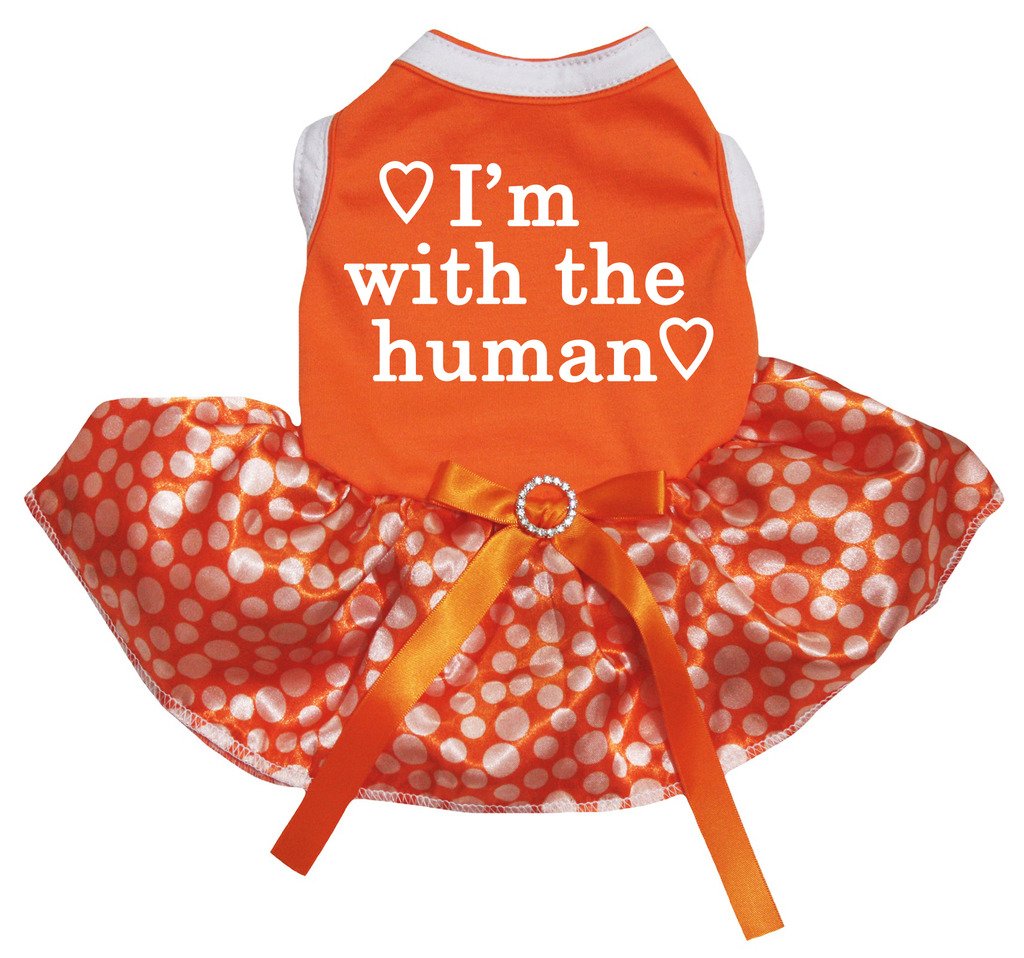 Petitebelle Puppy Clothes Dog Dress I'm With The Human Orange Top Polka Dot Tutu (X-Small)