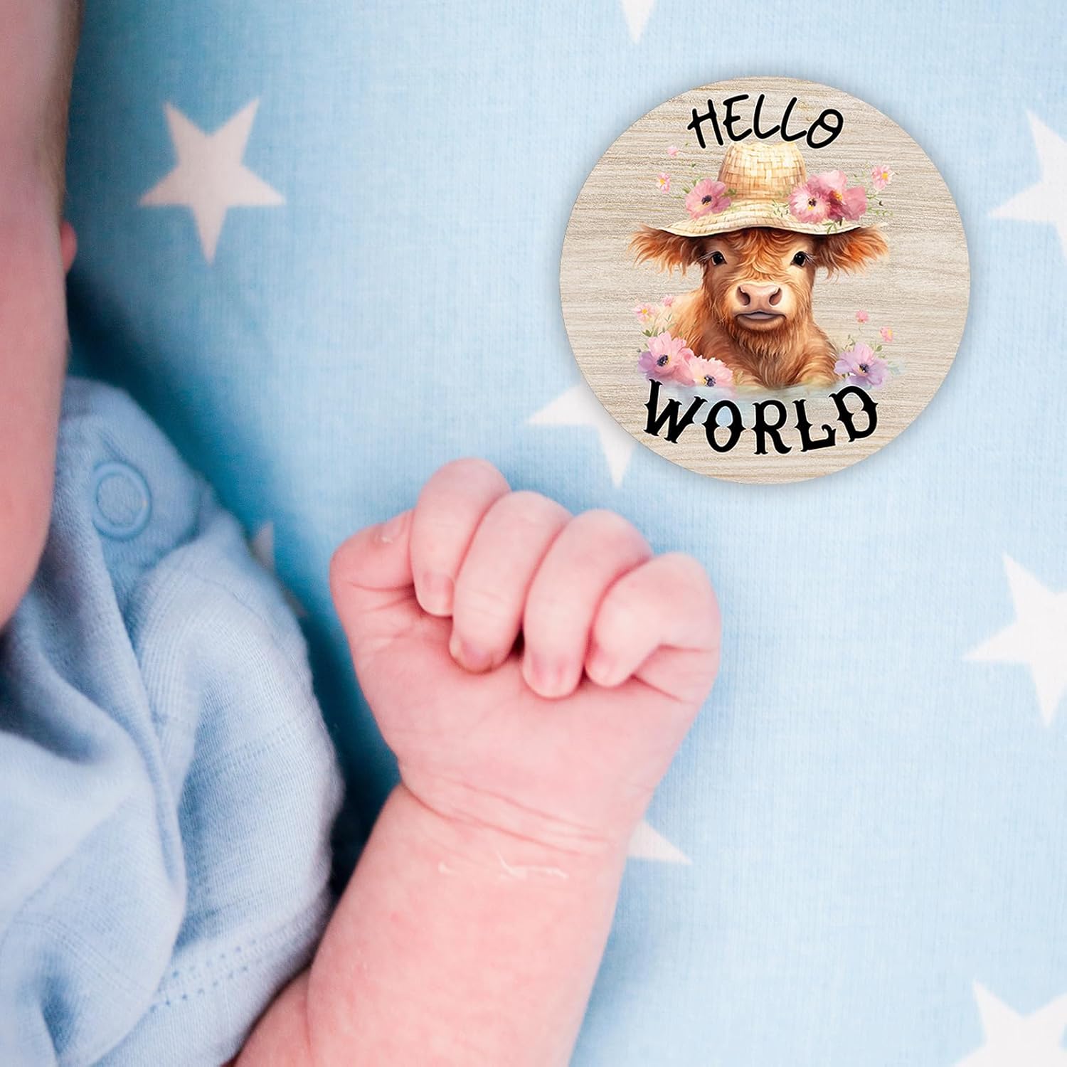 Highland Cow Baby Month Milestone Circles, Wooden Discs Stuff for Baby Photo Takens with Hello World Name Signs - 7Pcs Double Sided Signs for Documenting Growth image 2