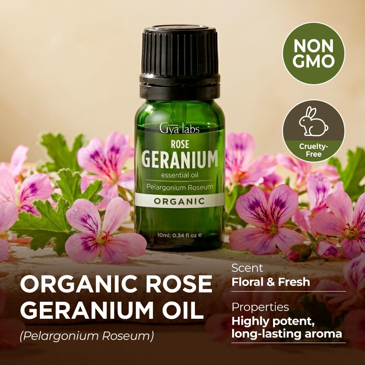 Gya Labs Organic Rose Geranium Essential Oil - 0.34 Fl Oz - for Skin, Hair, Diffuser, Aromatherapy, DIY Candle Making Scents