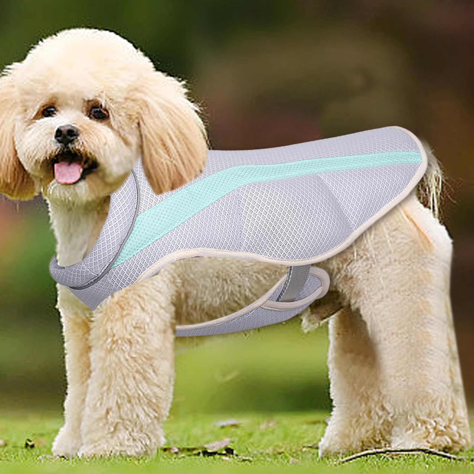 Gilet rafraîchissant d'été pour chien, chemise légère et rafraîchissante pour chien, en microfibre par évaporation, convient pour les chiens de taille moyenne et grande (XXL)