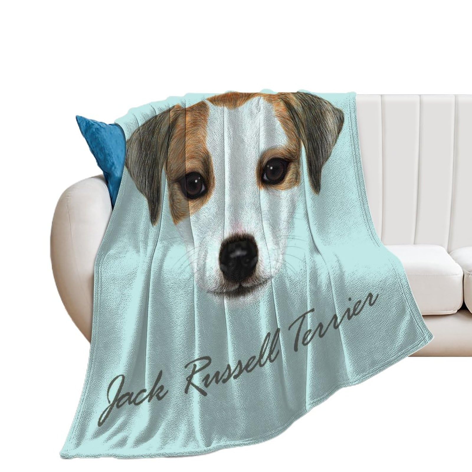 Couverture polaire chien peluche pour éliminer le froid du canapé